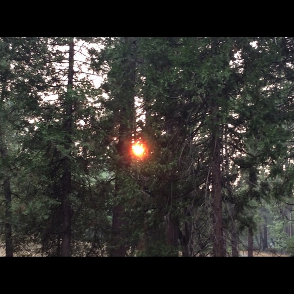 Meet your Posher, Victoria - Picture 4 of 14